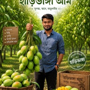 হাড়িভাঙ্গা ১১ কেজি ক্যারেট